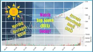 Check Top Glove (BVA) on 17 September 2024!