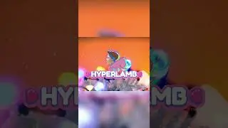 Christmas Music Winterland | HYPERLAMB Holiday Beat #ChristmasMusic