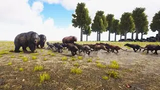 Dire Bear vs Hyaenodon Dinosour Battles - ARK Survival Evolved