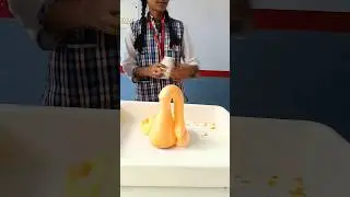 बच्चों ने बना डाला हाथी के दांतो का टूथपेस्ट#Elephant toothpaste# viral  elephant toothpaste exp#