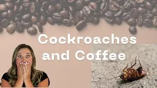 Cockroaches in Coffee? What My Allergy Test Revealed| Laura's Holistic Kitchen