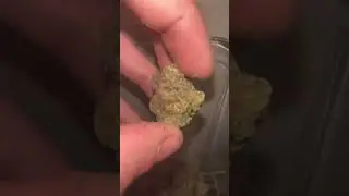 大麻weed420《2025.12.02下午》正常发货