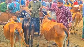 @আজ ৩১ জানুয়ারি