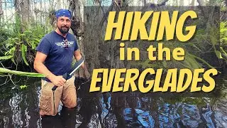 Hiking in the Everglades | Camping in the Swamp | GTD Swamp Thing