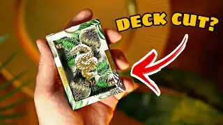 People do some WEIRD things with cards...