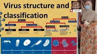 Structure of Virus l Virus classification l prions and Viroids 