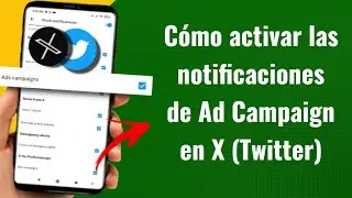 C&oacute;mo activar las notificaciones de Ad Campaign en X (Twitter) | Espa&ntilde;ol