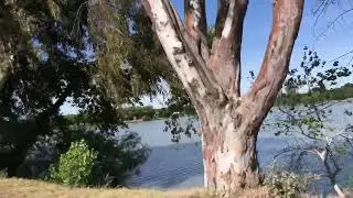 2022 Lake Minden tour