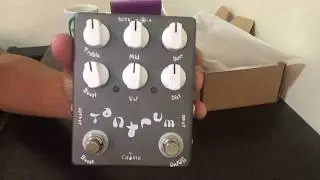 Caline Tantrum Unboxing