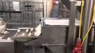 Verbufa Kroketten Machine / Verbufa Bitterballen Machine / Verbufa Croquettes Machine