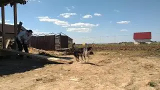 2017 05 14