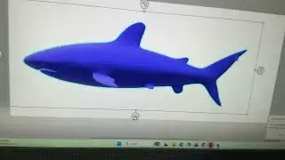 Fat shark