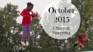 1 Second Everyday - October 2015, LisaNotes