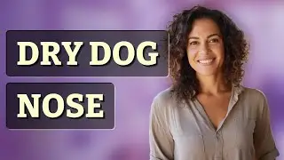 Why Is My Dog&rsquo;s Nose Dry? When to Worry