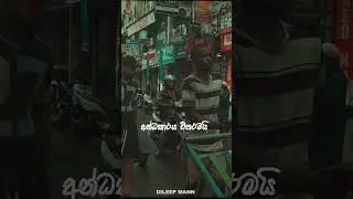 Sri Lanka 2026 Sinhala reggae songs coming soon #sinhalasongs #reggaemusic  #dayinmylife