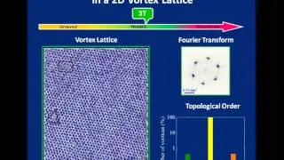Order-DisorderTransition in a 2D vortex lattice