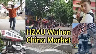 Huazhong Agricultural University Wuhan China | Wuhan University | Wuhan China University Vlog