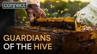 Simply Bee - Ethical Beekeeping