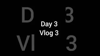 Day 3 || Vlog 3 ||Mini pets vlog || #petsvlog #pet #pet #petlover #pigeon #rabbits  #rushi_pets_vlog