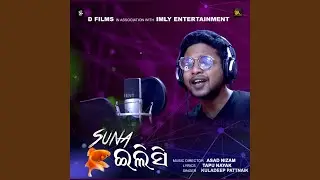 Suna Elisi