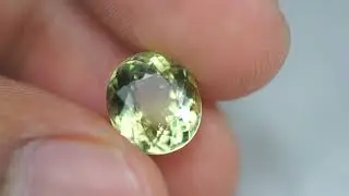 MAH07929