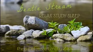 Gentle Stream Sounds:   Relaxation, Study, Sleep or Insomnia  (3 Hours)