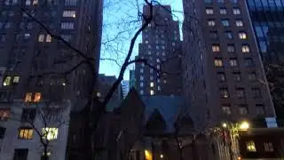 DC/Marvel Universes Meet Here in New York City