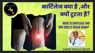 कार्टिलेज क्या है ,और क्यों टूटता है? What is cartilage and why does it break down?