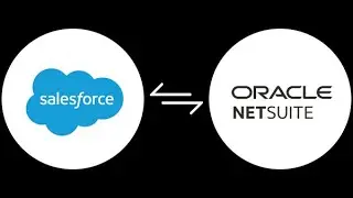 The Right Way to Integrate Salesforce & NetSuite - Snappy, a Real Customer, Shares Their Perspective