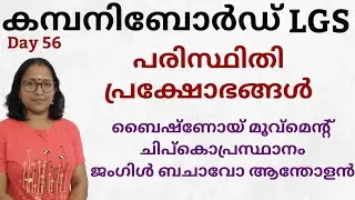 പരിസ്ഥിതി പ്രക്ഷോഭങ്ങൾ