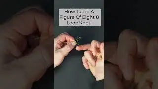 🎣 How to Tie a Figure 8 Loop Knot  #anglingdirect  #fishingtip