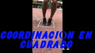 Coordinación Cuadrado - 11 Variantes