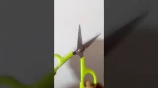 How to make propeller Shashank experiment