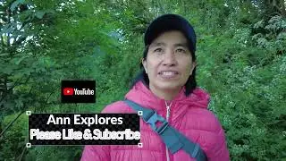 Lagan Towpath: Spring Evening Walk (Part 1) #belfast