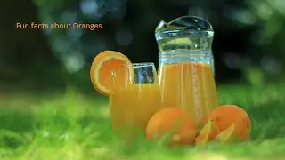Fun facts about oranges
