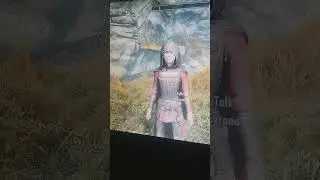 the best follower combo ever skyrim