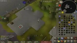 ramble 3 - agility