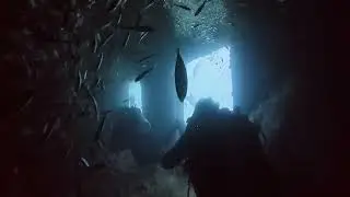 Scuba Diving the Fang Ming Wreck in La Paz, Mexico