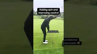 Low spinner chip shot EASY
