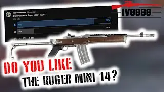Опрос на YouTube: Вам нравится Ruger Mini 14?