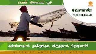 கன்னியாகுமரி, தூத்துக்குடி, விருதுநகர், கிருஷ்ணகிரி | Agri Advisories Notes