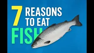 7 POWERFUL Reasons You Should Eat FISH Every Day (Especially If You Want to Live Long!)