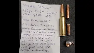 6.5/.264 156gr Norma Alaska RNSP 6.5 Creedmoor гель для тестирования высоких и низких скоростей