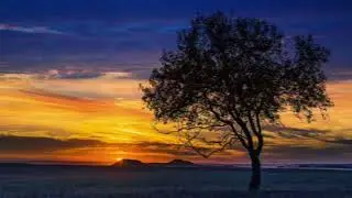 Unknown Song (