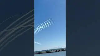 Snowbirds doing a flyby at the Canadian International Airshow