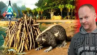 Ark Ascended - All 5 Beaver locations and nests - Island map