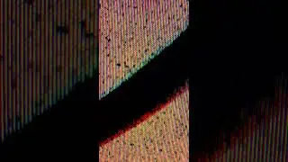 MUTRON - RAVENATION [CDN011] Teaser