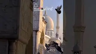 Allah Hafiz 🕋🕋