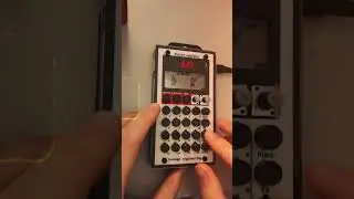 Pocket Operator PO-33 K.O! beat #shorts #pocketoperator #po33 #teenageengineering