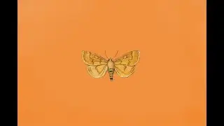 ^FREE^ Fresh Type beat 